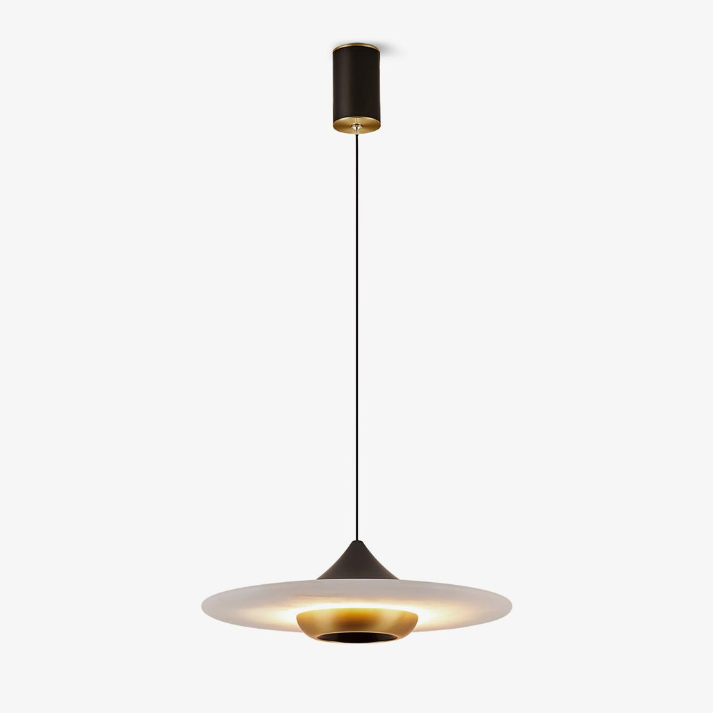 Modern Pendant Ceiling Light with LED and Minimalist Design