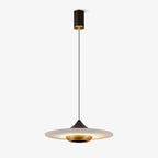 Modern Pendant Ceiling Light with LED and Minimalist Design