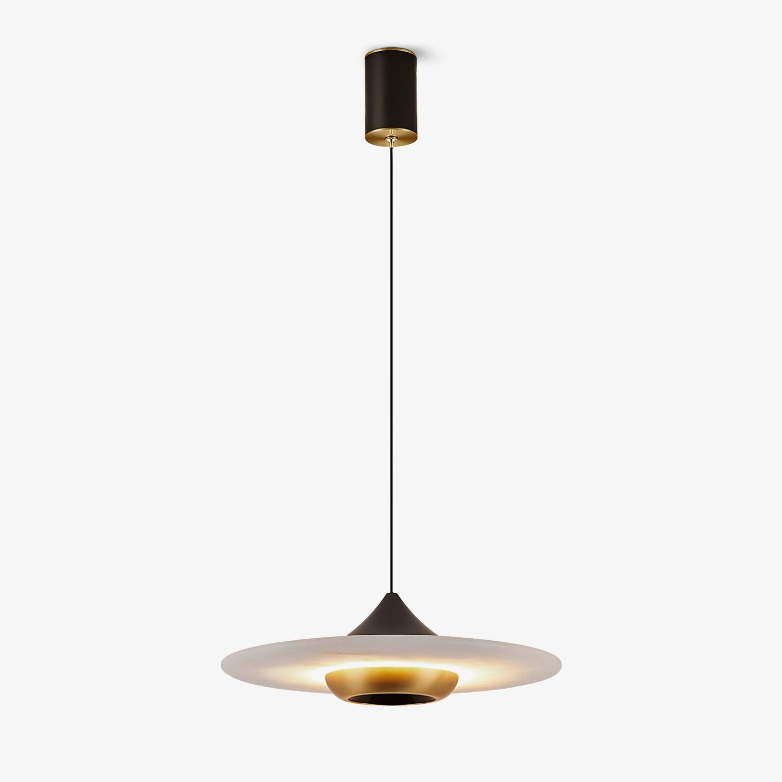 Modern Pendant Ceiling Light with LED and Minimalist Design
