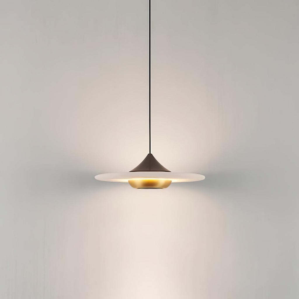 Modern Pendant Ceiling Light with LED and Minimalist Design