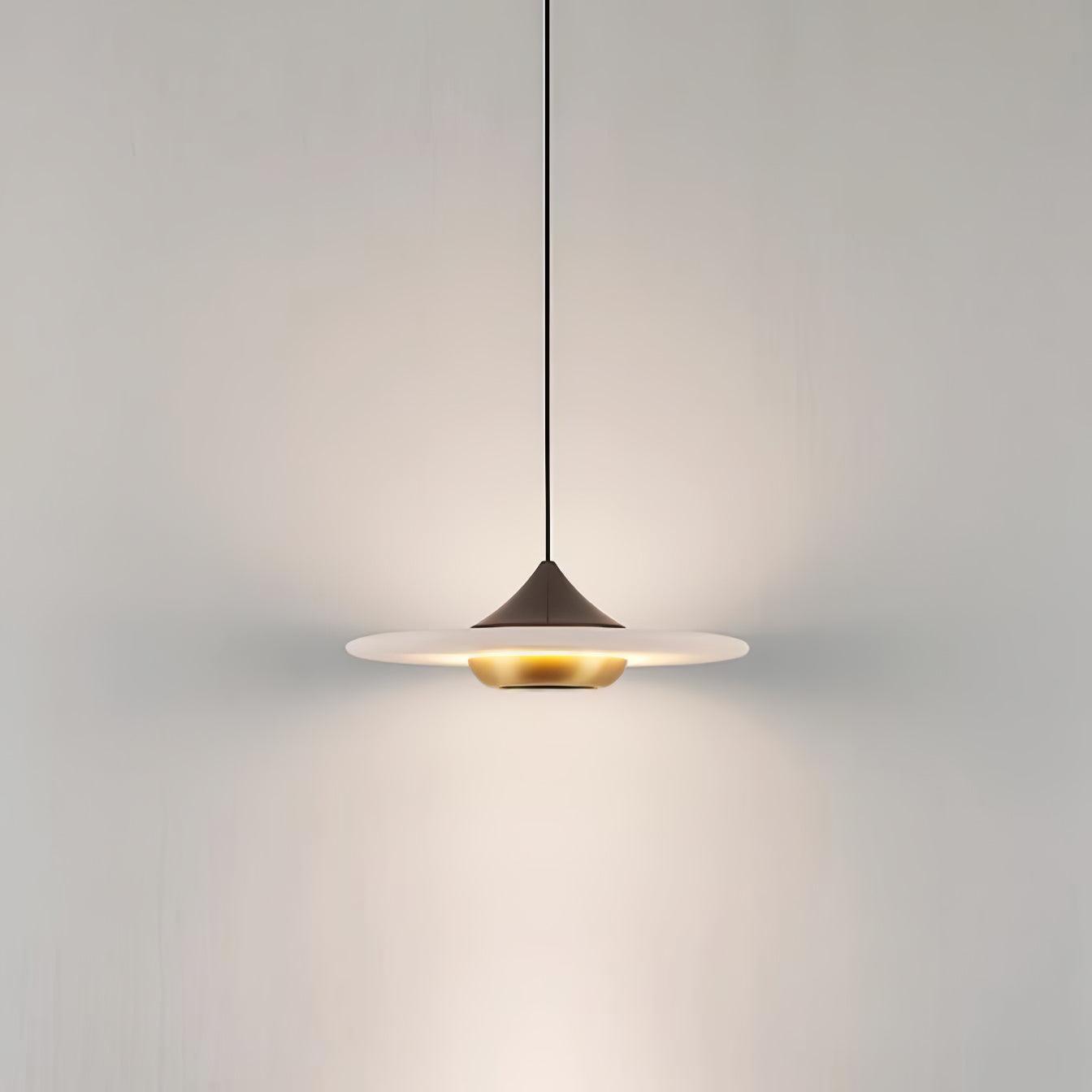 Modern Pendant Ceiling Light with LED and Minimalist Design
