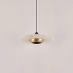 Modern Pendant Ceiling Light with LED and Minimalist Design