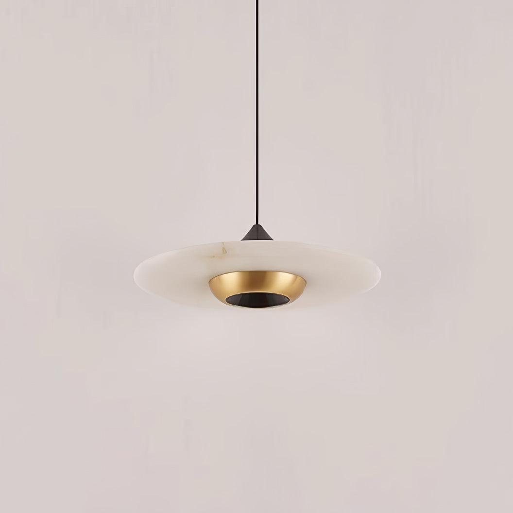 Modern Pendant Ceiling Light with LED and Minimalist Design