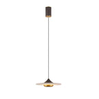 Modern Pendant Ceiling Light with LED and Minimalist Design