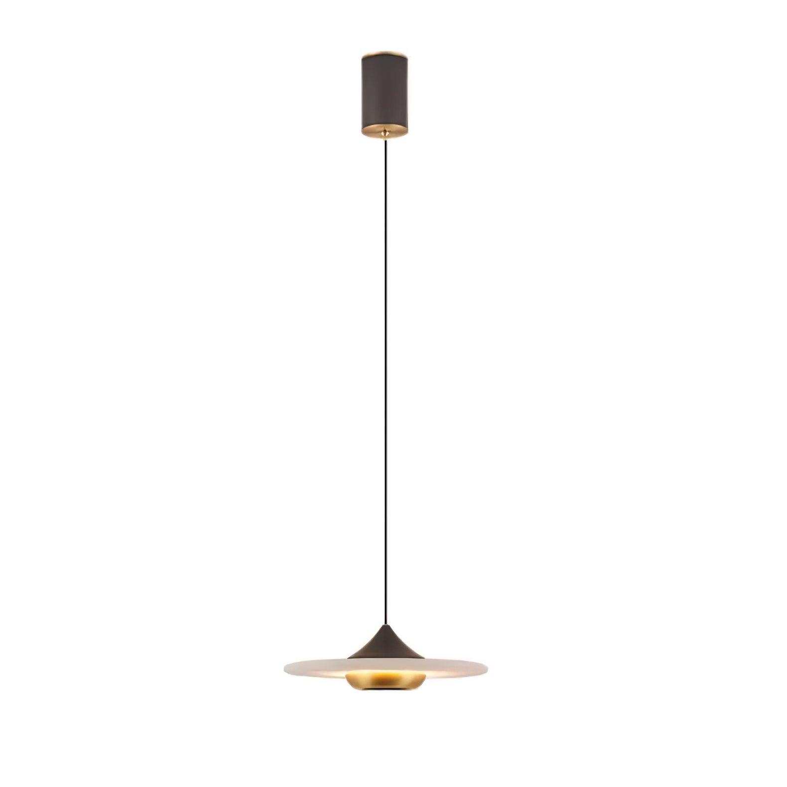 Modern Pendant Ceiling Light with LED and Minimalist Design