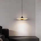 Modern Pendant Ceiling Light with LED and Minimalist Design
