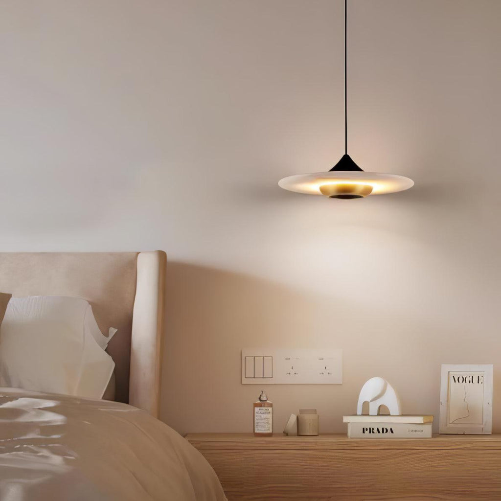 Modern Pendant Ceiling Light with LED and Minimalist Design