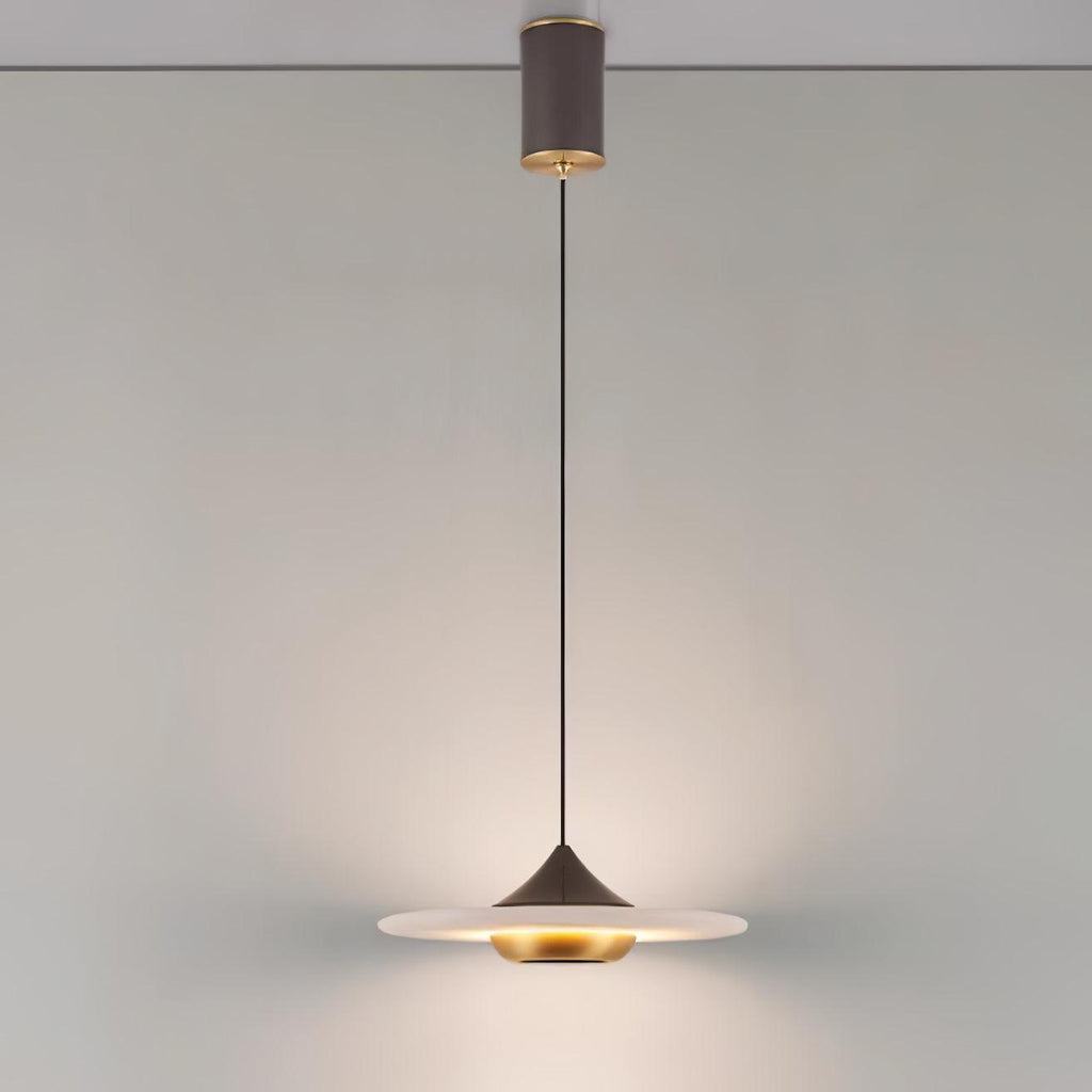 Modern Pendant Ceiling Light with LED and Minimalist Design