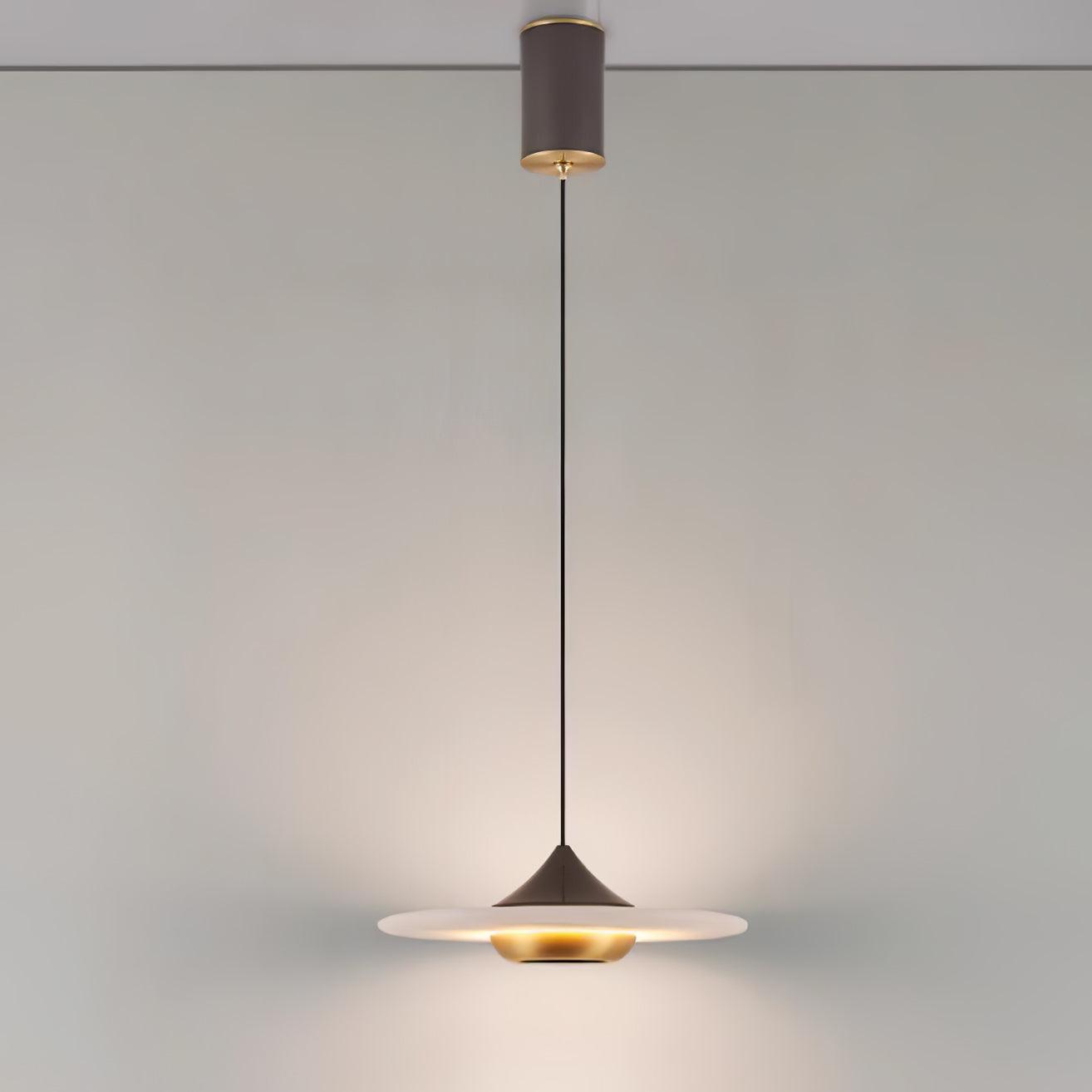Modern Pendant Ceiling Light with LED and Minimalist Design