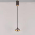 Modern Pendant Ceiling Light with LED and Minimalist Design
