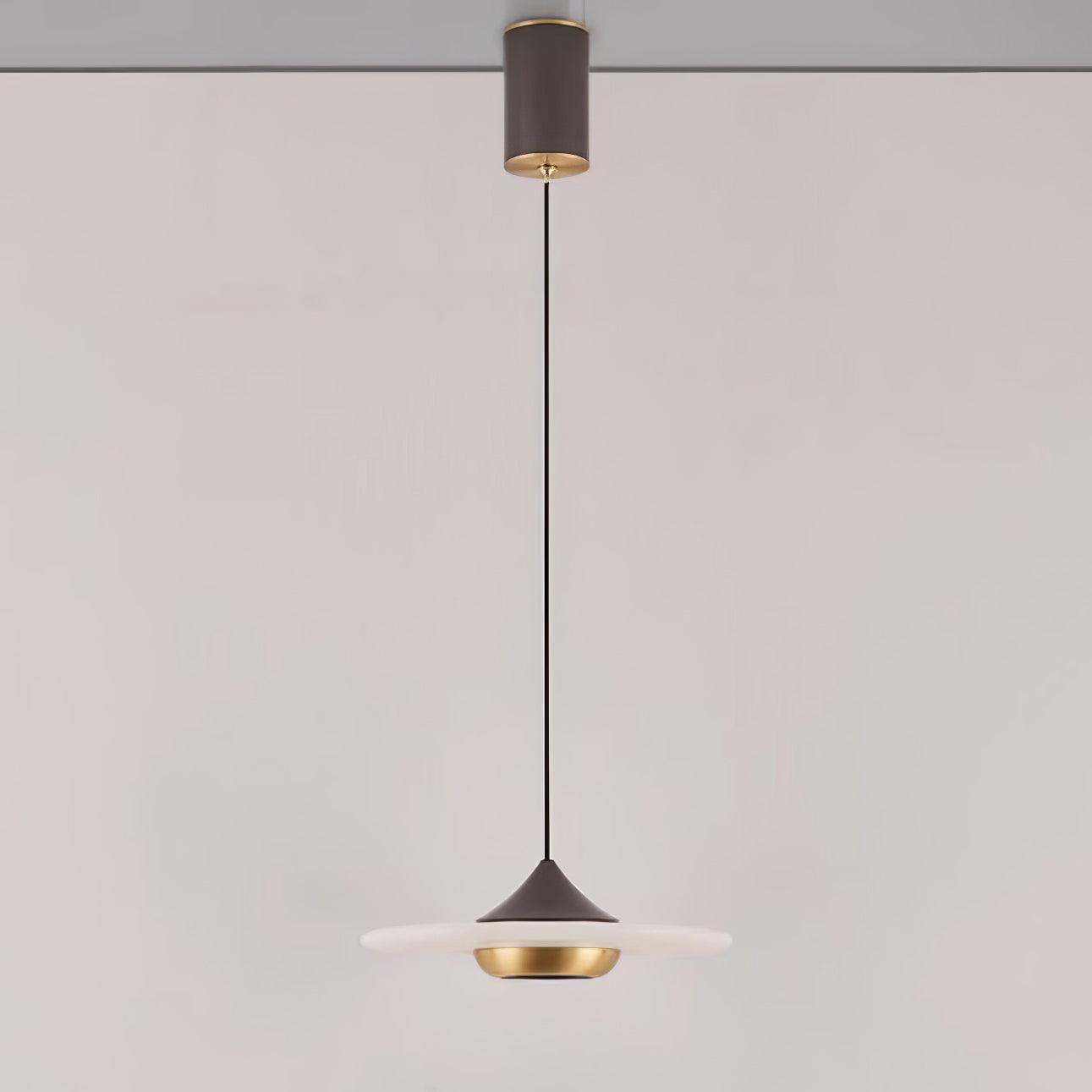 Modern Pendant Ceiling Light with LED and Minimalist Design