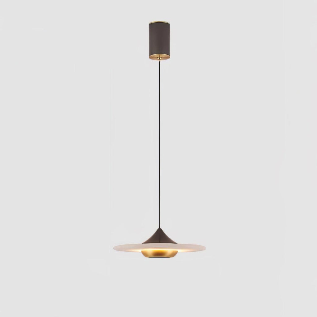 Modern Pendant Ceiling Light with LED and Minimalist Design