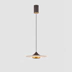 Modern Pendant Ceiling Light with LED and Minimalist Design