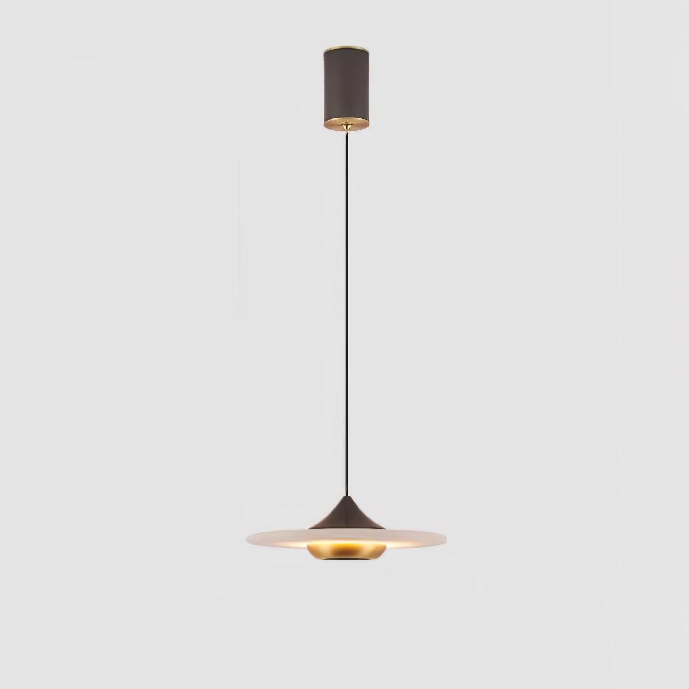 Modern Pendant Ceiling Light with LED and Minimalist Design