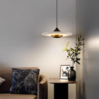Modern Pendant Ceiling Light with LED and Minimalist Design