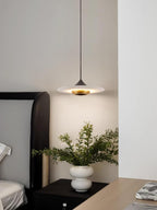 Modern Pendant Ceiling Light with LED and Minimalist Design