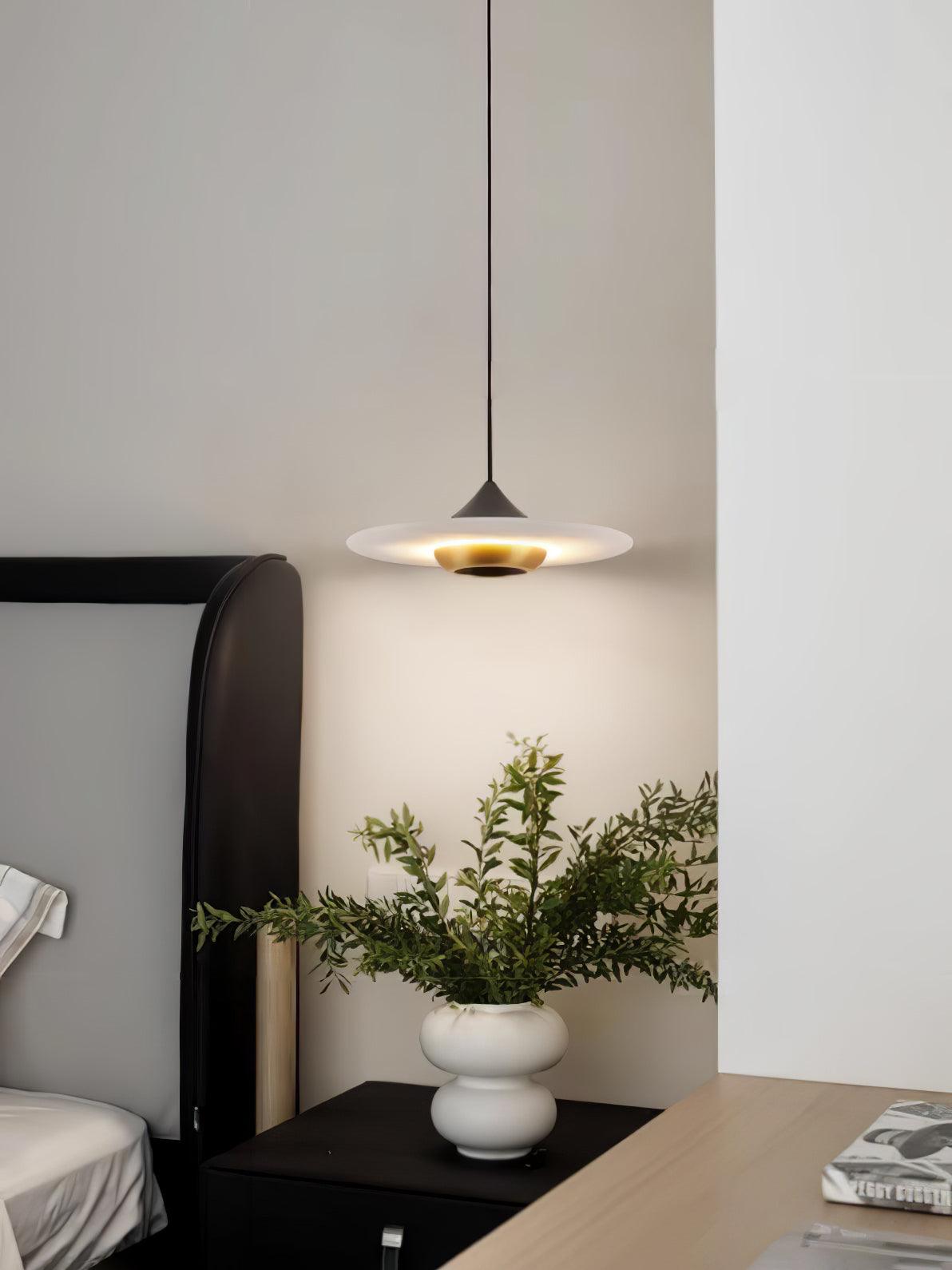 Modern Pendant Ceiling Light with LED and Minimalist Design