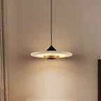 Modern Pendant Ceiling Light with LED and Minimalist Design