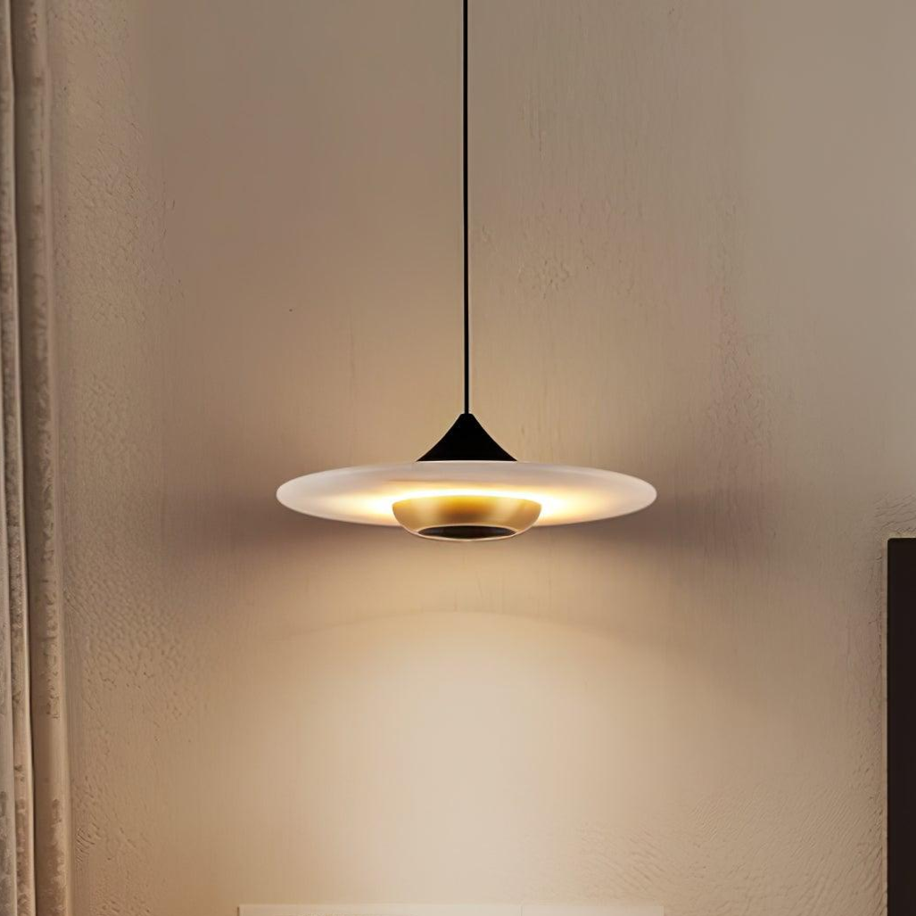 Modern Pendant Ceiling Light with LED and Minimalist Design