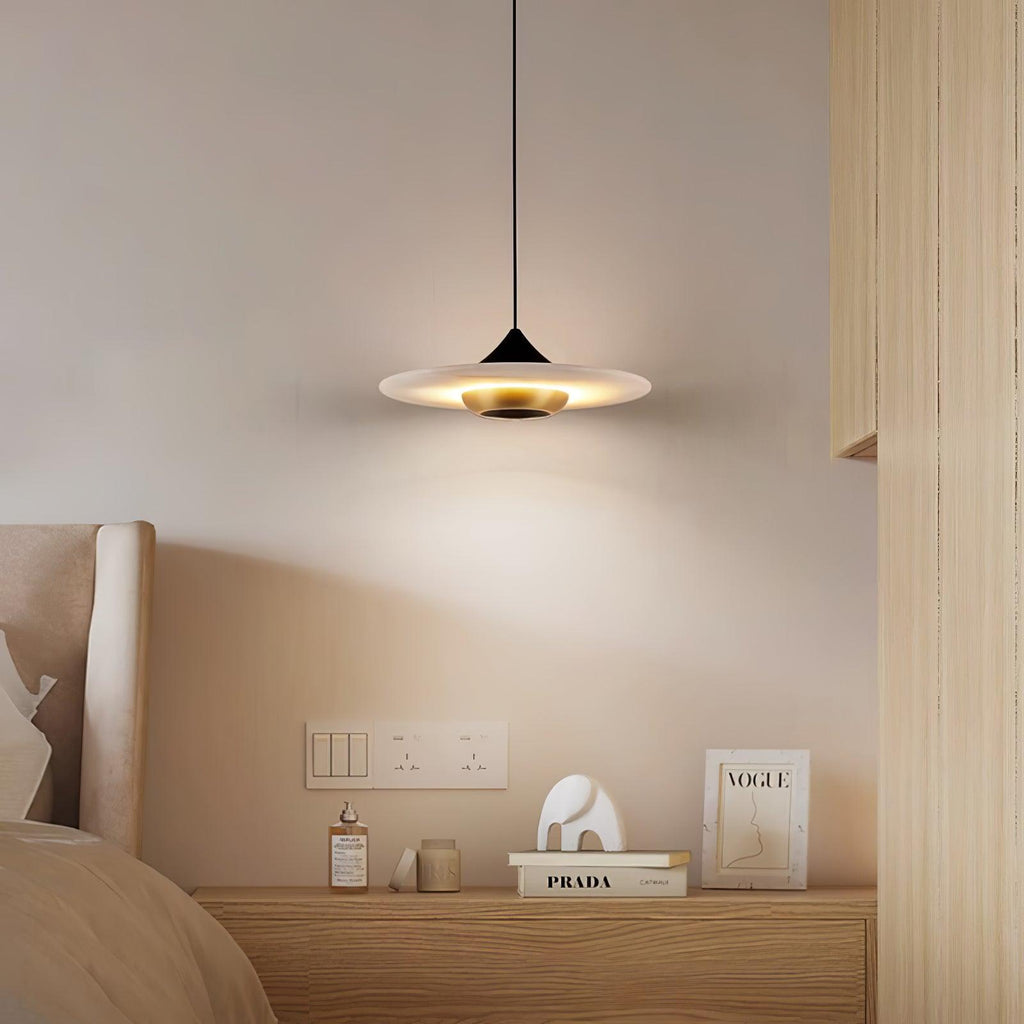 Modern Pendant Ceiling Light with LED and Minimalist Design