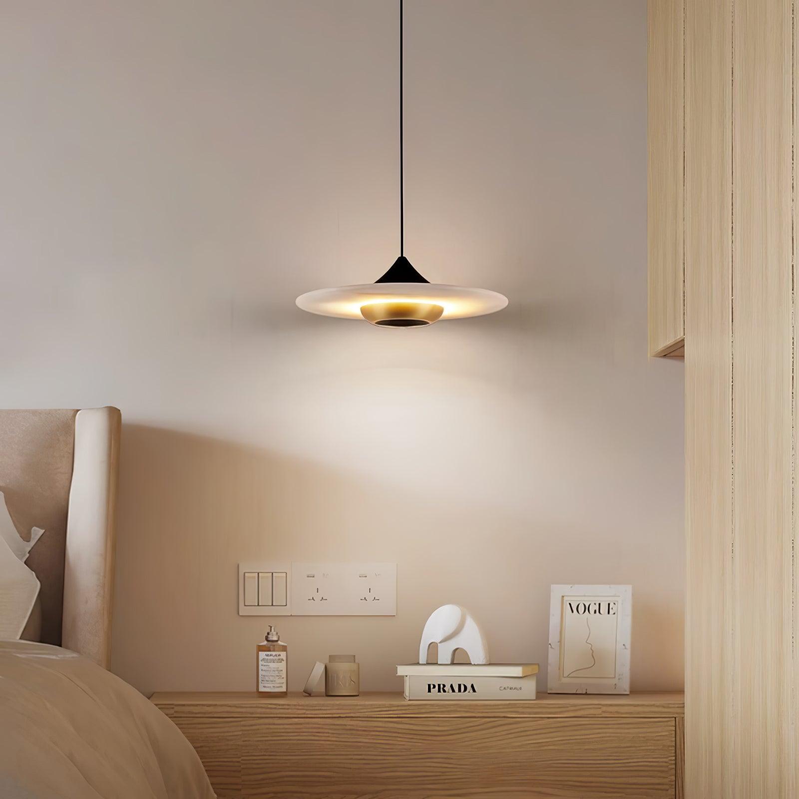 Modern Pendant Ceiling Light with LED and Minimalist Design