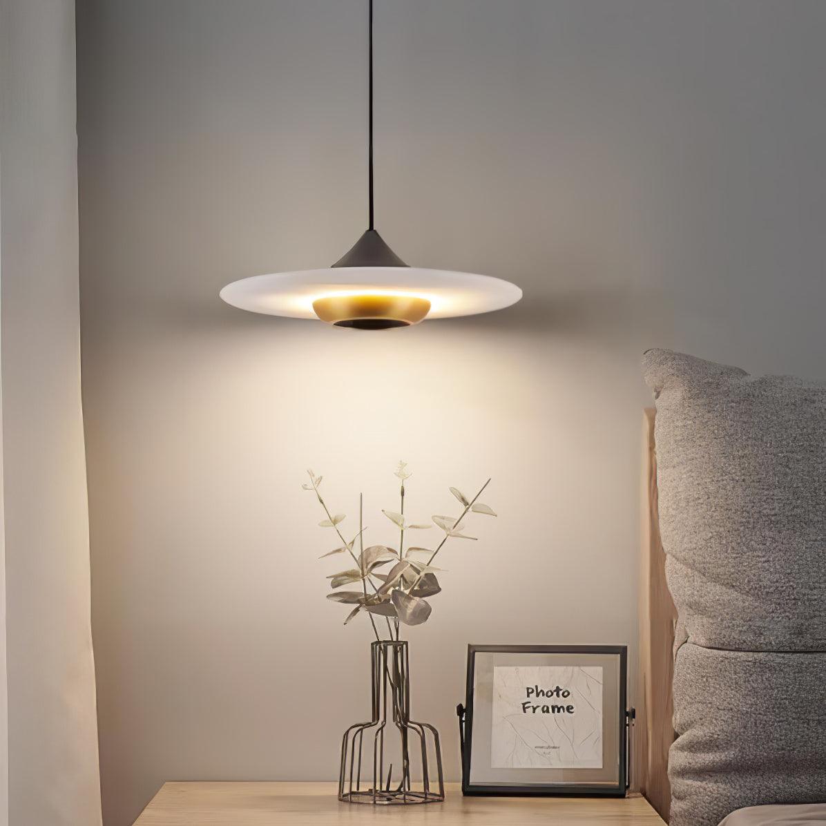 Modern Pendant Ceiling Light with LED and Minimalist Design