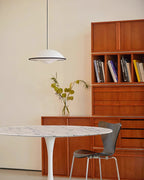 Living room Modern Pendant Light with Hanging Design