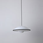 Living room Modern Pendant Light with Hanging Design